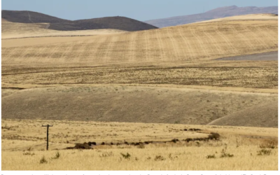 Washington is Losing Farms and Food Producing Land. Does Anyone Care?