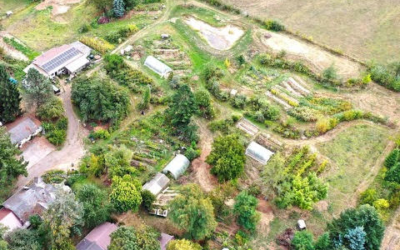 Thriving Intentional Communities and Ecovillages