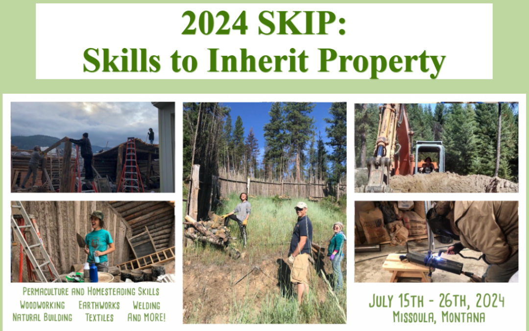 SKIP: Save $1ks, Gain Skills, Earn Land