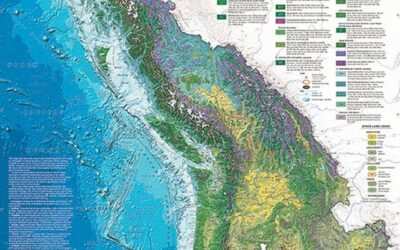New Vision – Cascadia Bioregional Permaculture