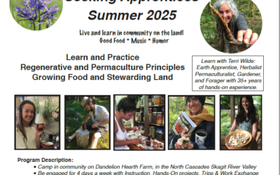 Regenerative Earth Apprenticeship Program 2025
