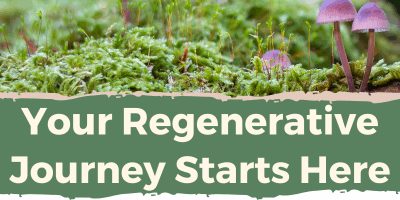 Soil Food Web – Your Regenerative Journey Starts Here