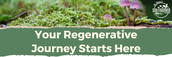Soil Food Web – Your Regenerative Journey Starts Here