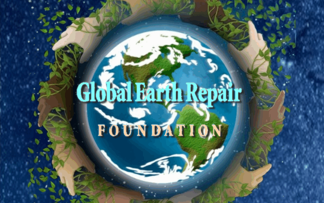 Global Earth Repair Update