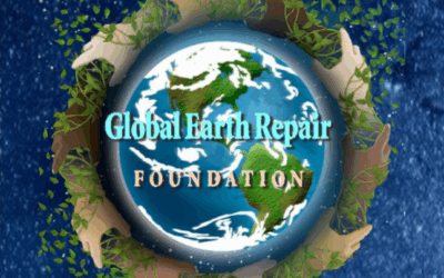 Global Earth Repair