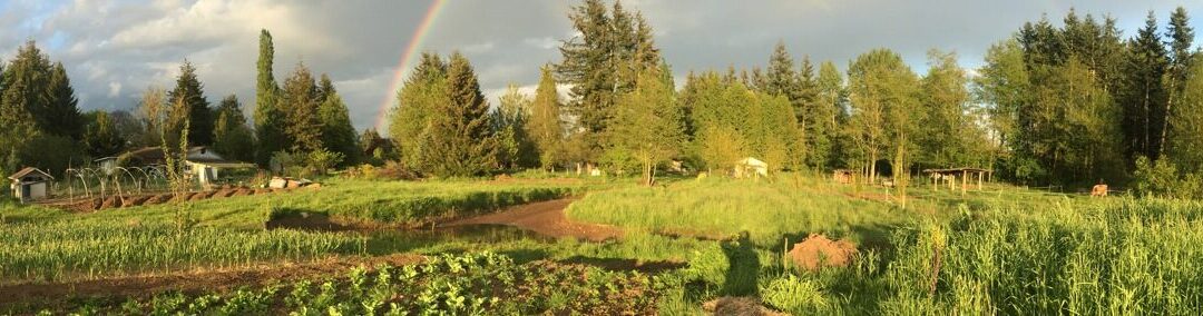 Learn How to Design Your Environment to be Productive and Regenerative May 17-18 Bellingham