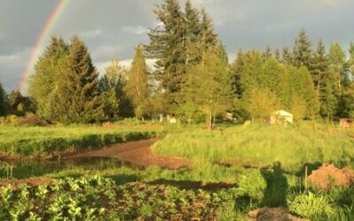 Learn How to Design Your Environment to be Productive and Regenerative May 17-18 Bellingham