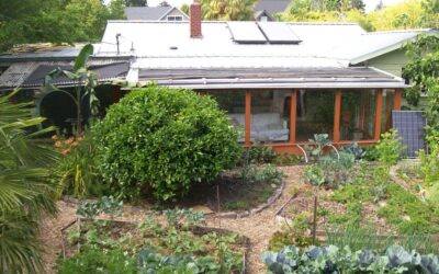The Convergence of Preparedness, Resilience and Permaculture on Zoom