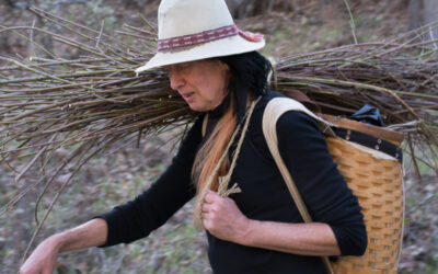 Social Forestry July Tour with Hazel Vaarde