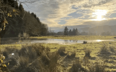 Social Forestry 2 Day Workshop