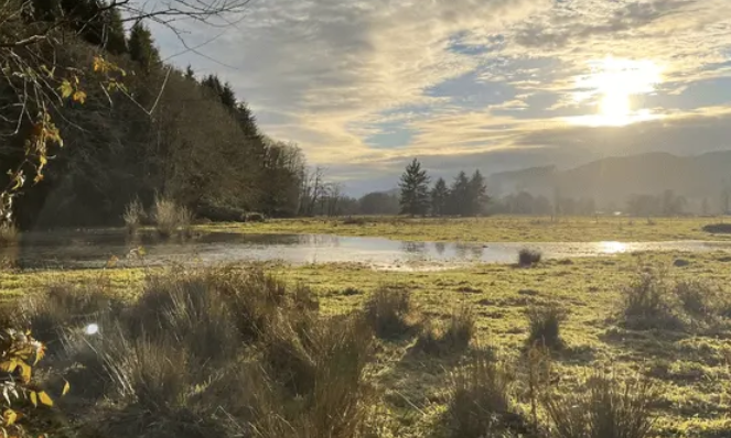 Social Forestry 2 Day Workshop