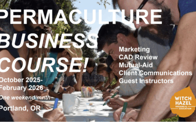 PERMACULTURE BUSINESS COURSE – Kailash EcoVillage – Julian Dominic & Friends