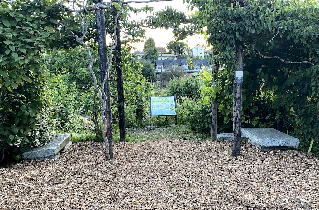 Have Fun and Help Out at Beacon Food Forest