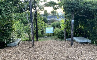 Have Fun and Help Out at Beacon Food Forest