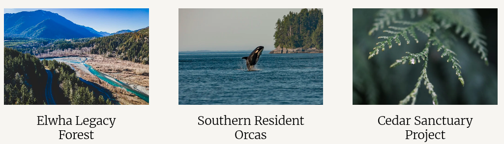 Earth-Law-Cascadia-Bioregion, Elwha Legacy Forest, Southern Resident Orcas, Cedar Sanctuary Project