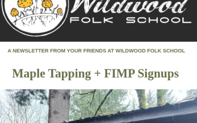 Maple Tapping – A Year of Foraging across the Pacific Northwest