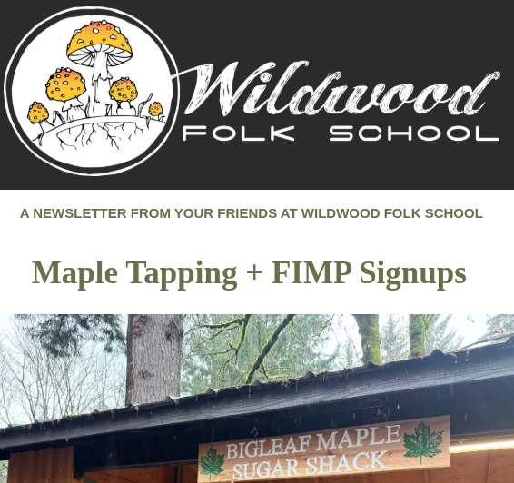 Maple Tapping – A Year of Foraging across the Pacific Northwest