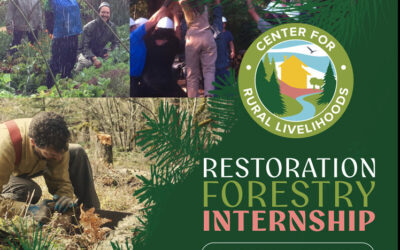 Center for Rural Livelihoods Restoration Forestry Internship Opportunities