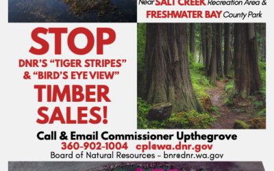 Legacy Forest At Risk – Salt Creek and Freshwater Bay