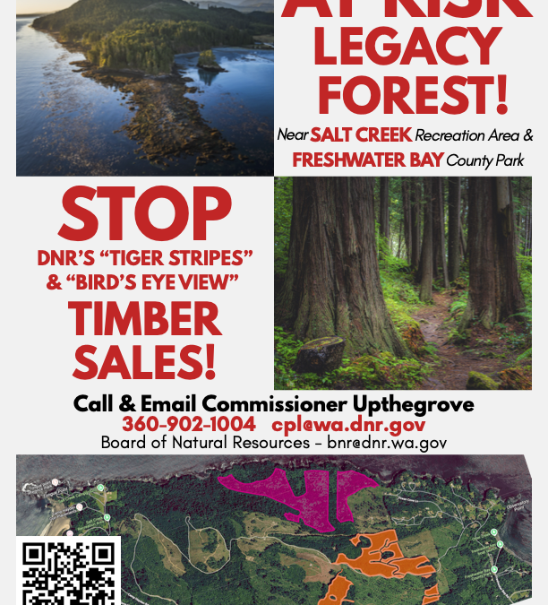 Legacy Forest At Risk – Salt Creek and Freshwater Bay