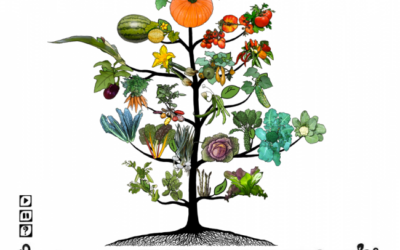 Willow Center Food Sovereignty Community Shareout