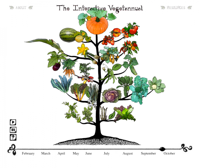 Willow Center Food Sovereignty Community Shareout