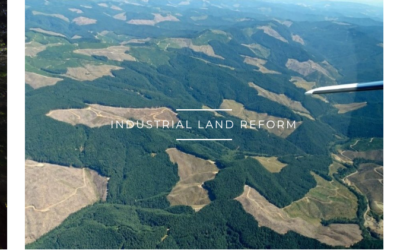 Oregon Forest Destruction Plan Announced by BLM