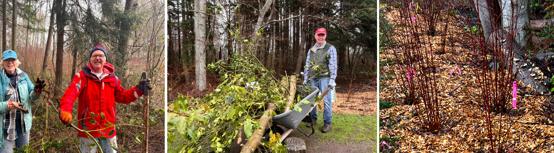 Kitsap Restoration Work Party & Native Plant Walk