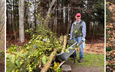 Kitsap Restoration Work Party & Native Plant Walk