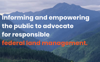 Watching Our Federal Forests: Why Public Oversight Matters
