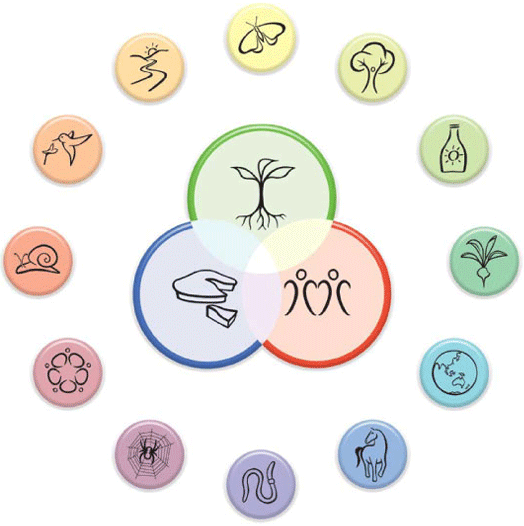 Reconnecting With Permaculture Principles