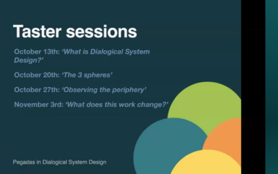 Meet Dominic Barter (Restorative Circles) Dialogical System Design Sessions