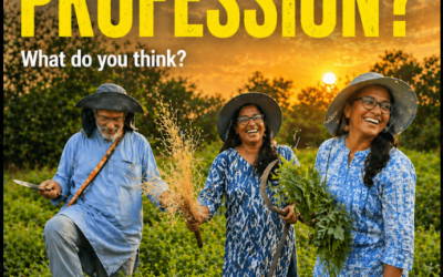 Global Professional Permaculture Pathways Survey