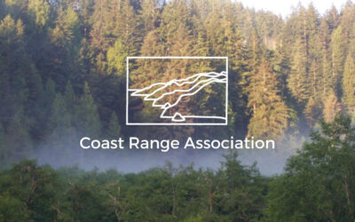 Oregon Approves Forest Management Plan for 620,000 Acres — Concerns Remain