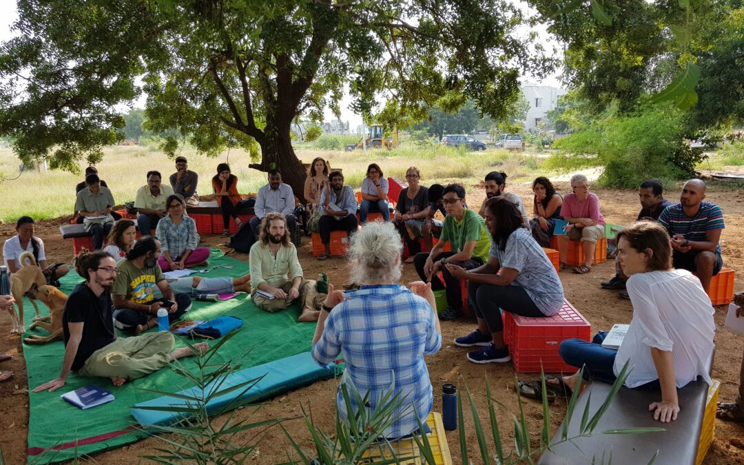 Online Permaculture Teacher Training Jan 2027