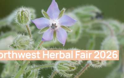 August 23: NW Herbal Fair Returns for a One-Day Gathering at Finnriver