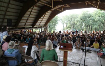 Seeking Allies and Board Member